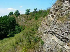 Rezerwat przyrody Wąwóz w Skałach